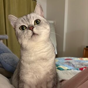 Goodbye for now 😺